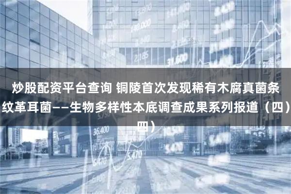 炒股配资平台查询 铜陵首次发现稀有木腐真菌条纹革耳菌——生物多样性本底调查成果系列报道(四)