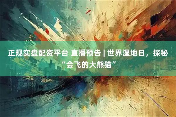 正规实盘配资平台 直播预告 | 世界湿地日，探秘“会飞的大熊猫”